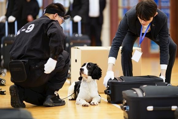 励志！流浪狗逆袭半年通过警犬考核明年将上岗守国门