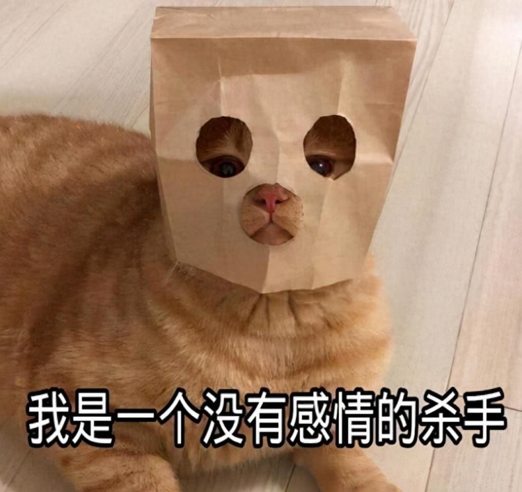 您见过“最丑”的猫有多丑？网民：看完之后突然不想舔猫了