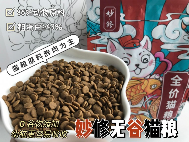 掌握这些技巧轻松避开布偶猫饲养雷区！