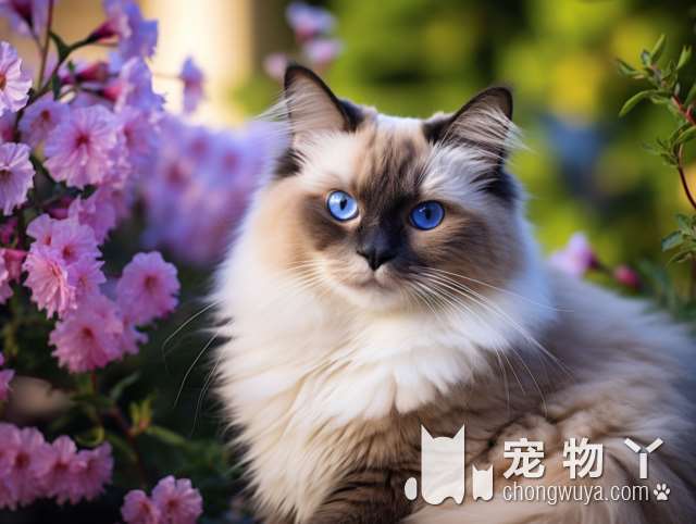 想要养只可爱的小猫咪吗？快来滨江银泰b馆4楼看看吧!